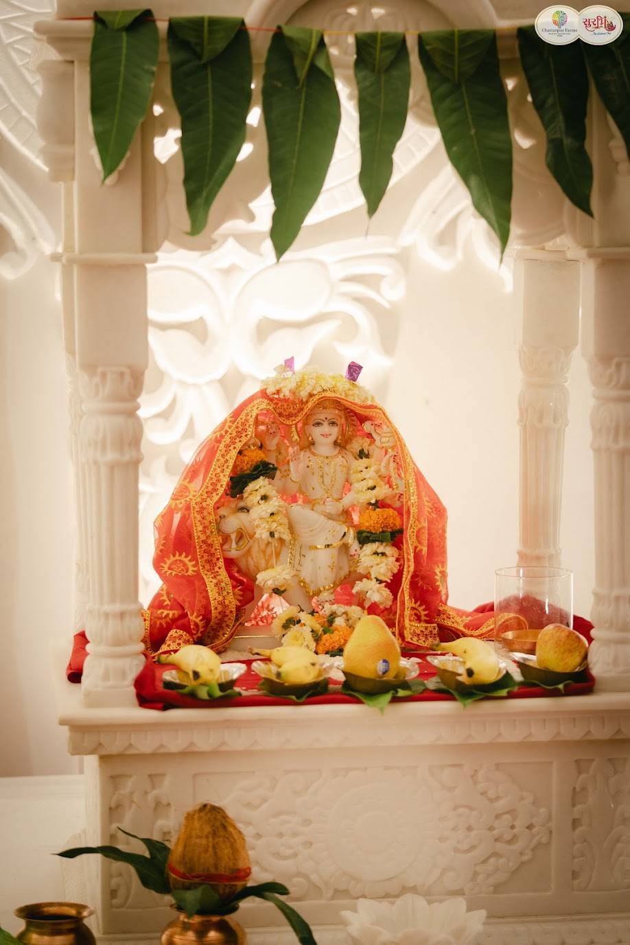 Surbhi Garba, Surbhi Navratri Garba Nagpur