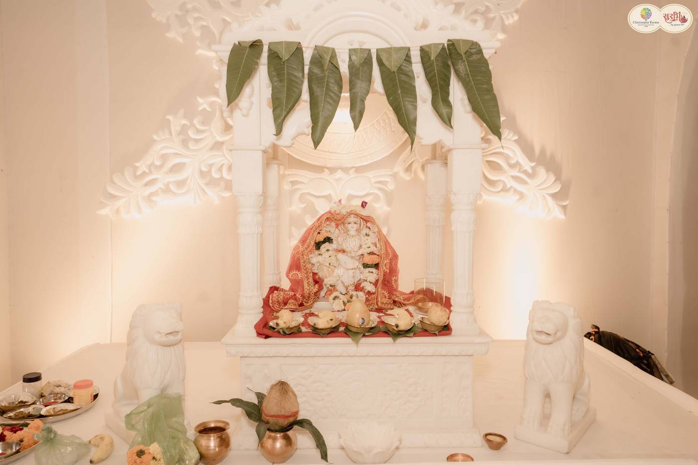 Surbhi Garba Nagpur, Surbhi Navratri Garba Nagpur